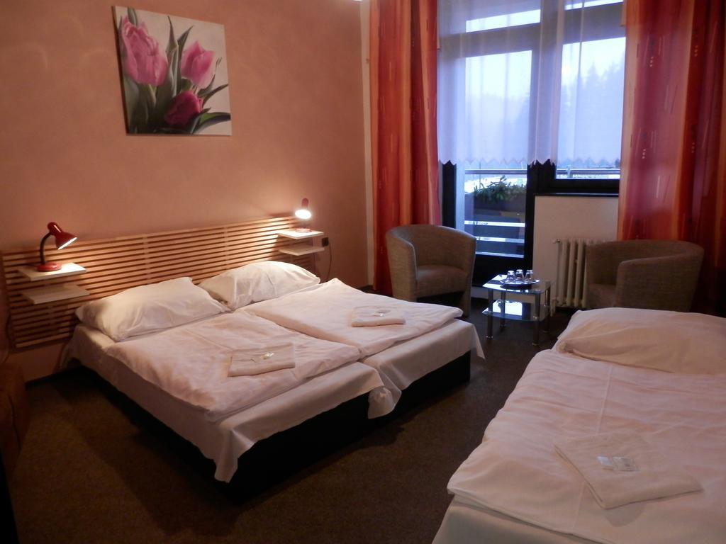 Pension Mona Harrachov Szoba fotó